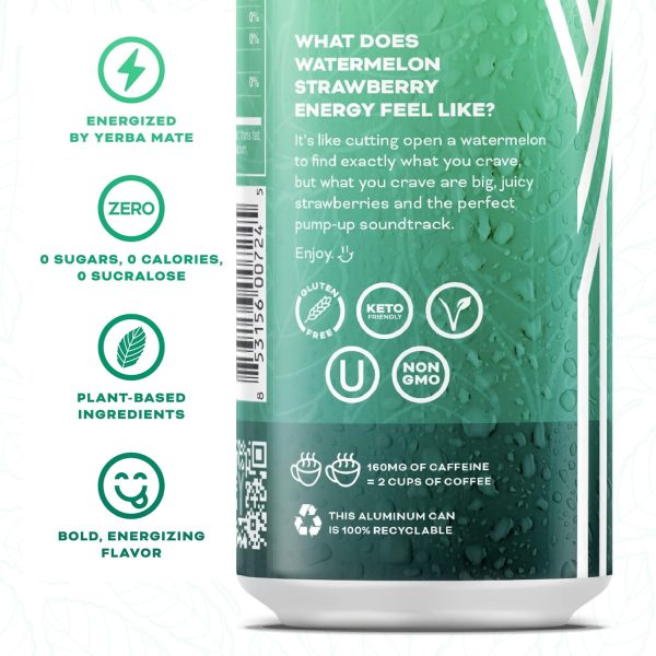 Yerbae Energy Drinks Plant Based Zero Sugar Variety Pack-3